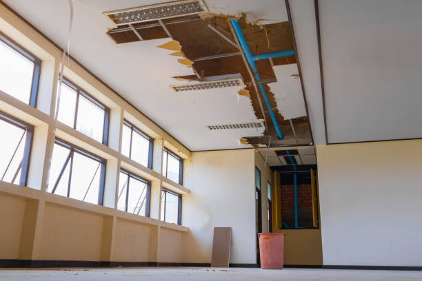 Best Carpet water damage restoration  in Man, WV