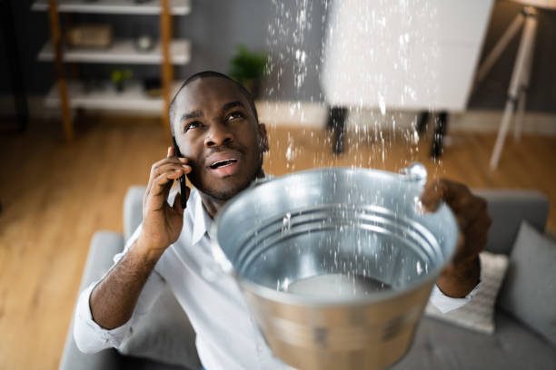 Best Water damage contractors near me  in Man, WV