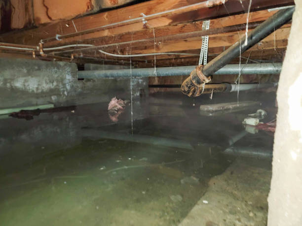 Best 24-hour water damage restoration  in Man, WV