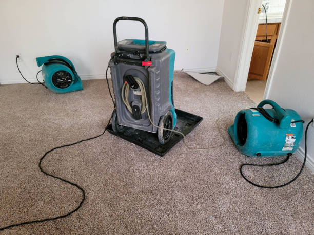 Best Water damage contractors near me  in Man, WV