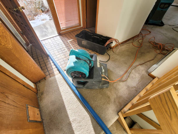 Best Residential water damage restoration  in Man, WV