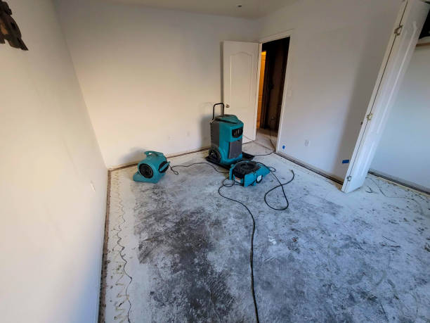 Best 24/7 water damage repair  in Man, WV