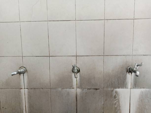 Best Local water damage restoration  in Man, WV