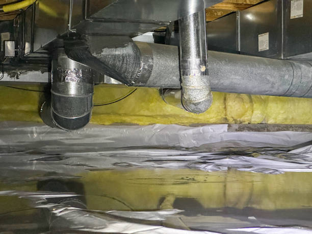 Best 24/7 water damage repair  in Man, WV