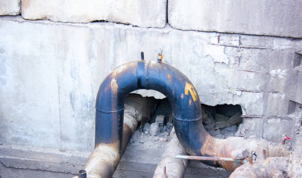 Best Professional water damage repair  in Man, WV
