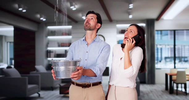 Best Local water damage restoration  in Man, WV